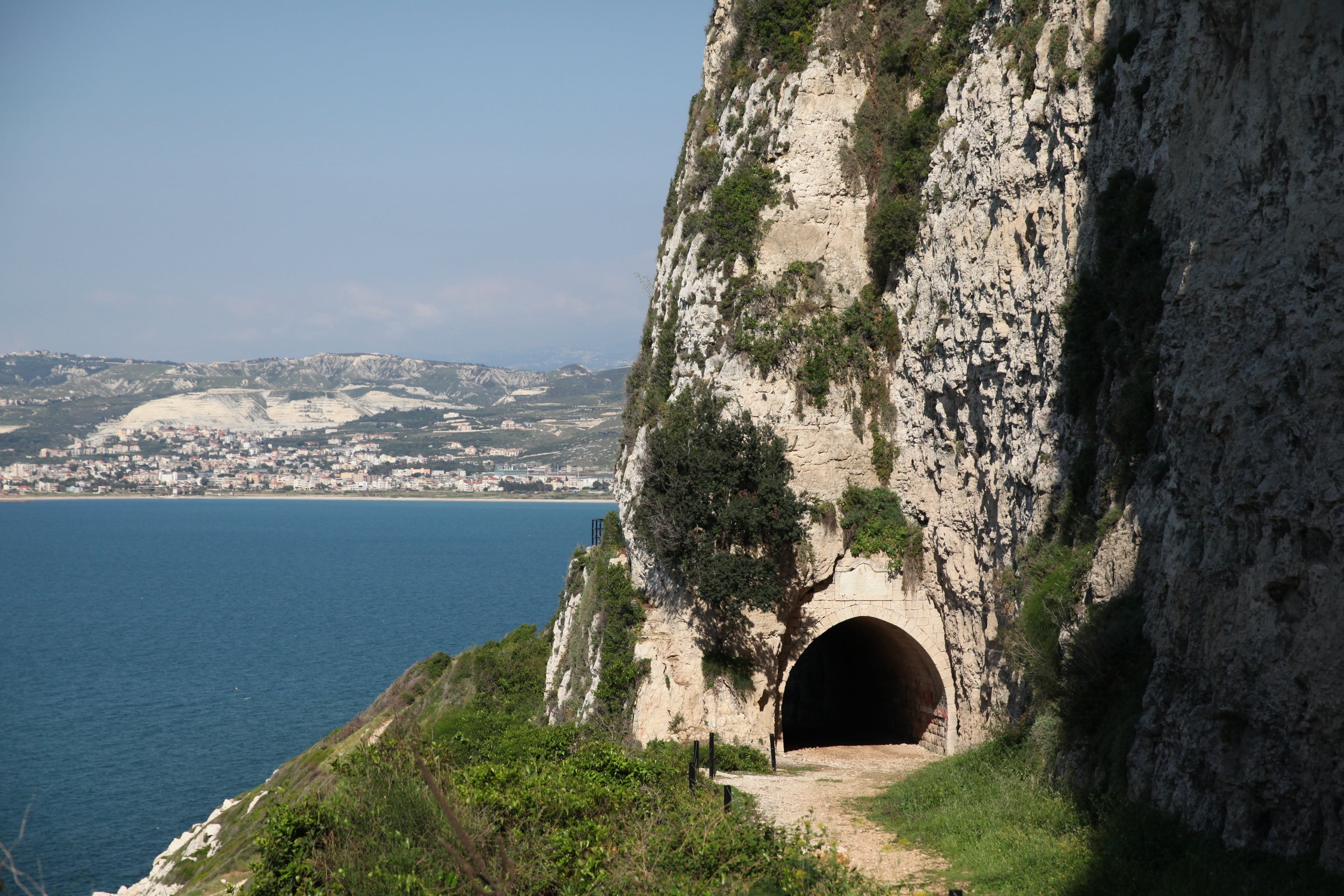 Slide image