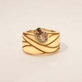 Treasure in The Dust Ring