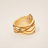 Treasure in The Dust Ring