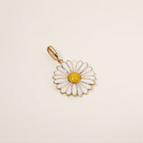 Daisy